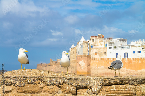 Essaouira - Magador, Marrakech, Morocco. photo