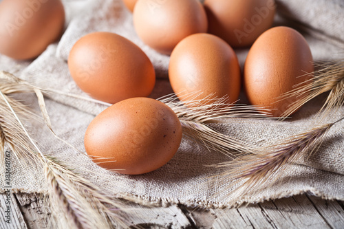  fresh brown eggs and wheat ears  photo