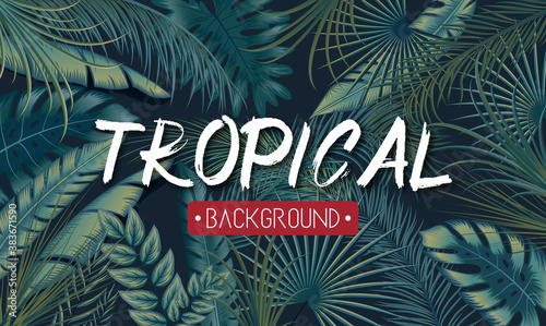 Tropical leaves background with jungle plants