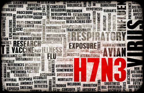 H7N3 photo