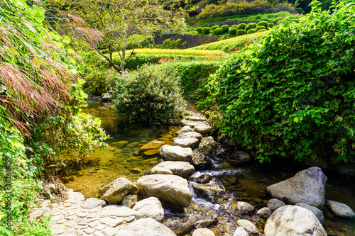 飛鳥川の飛び石、明日香村 photo