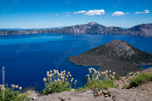 Wizard Island view of Crater Lake National Park in Oregon in summer. Wildflowers in foreground