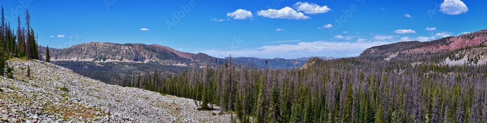 Lake Cuberant hiking trail views of ponds, forest and meadows with Bald Mountain Mount Marsell in Uinta Mountains from Pass Lake Trailhead, Utah, United States.