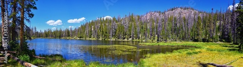 Lake Cuberant hiking trail views of ponds, forest and meadows with Bald Mountain Mount Marsell in Uinta Mountains from Pass Lake Trailhead, Utah, United States.