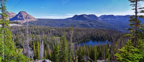 Fototapeta Naklejka Na Ścianę i Meble -  Lake Cuberant hiking trail views of ponds, forest and meadows with Bald Mountain Mount Marsell in Uinta Mountains from Pass Lake Trailhead, Utah, United States.