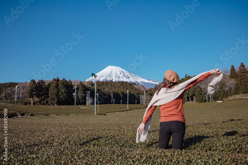 Pretty woman standing in the middle of the tea tree with Fuji Mountian view in Fujinomiya, Shizuoka. Shizuoka is one of the best natural on Tea in the world.