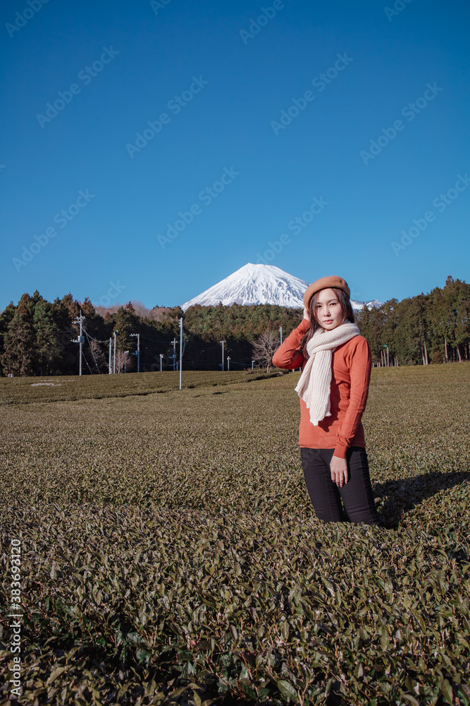 Pretty woman standing in the middle of the tea tree with Fuji Mountian view in Fujinomiya, Shizuoka. Shizuoka is one of the best natural on Tea in the world.