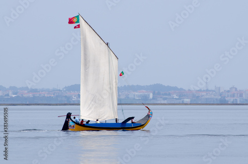 Annual Moliceiros Regatta photo