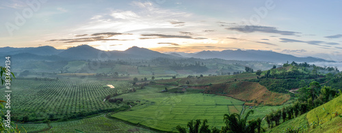 Panorama of view of rice paddies farm and vegetables farm in rural Thailand