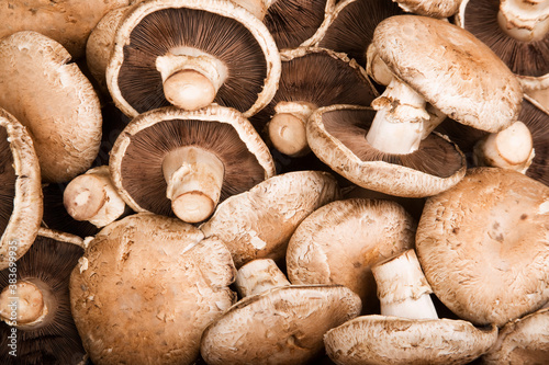 Portobello Mushrooms photo