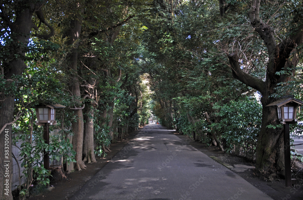 Fototapeta premium 城下町岩槻・久伊豆神社 参道