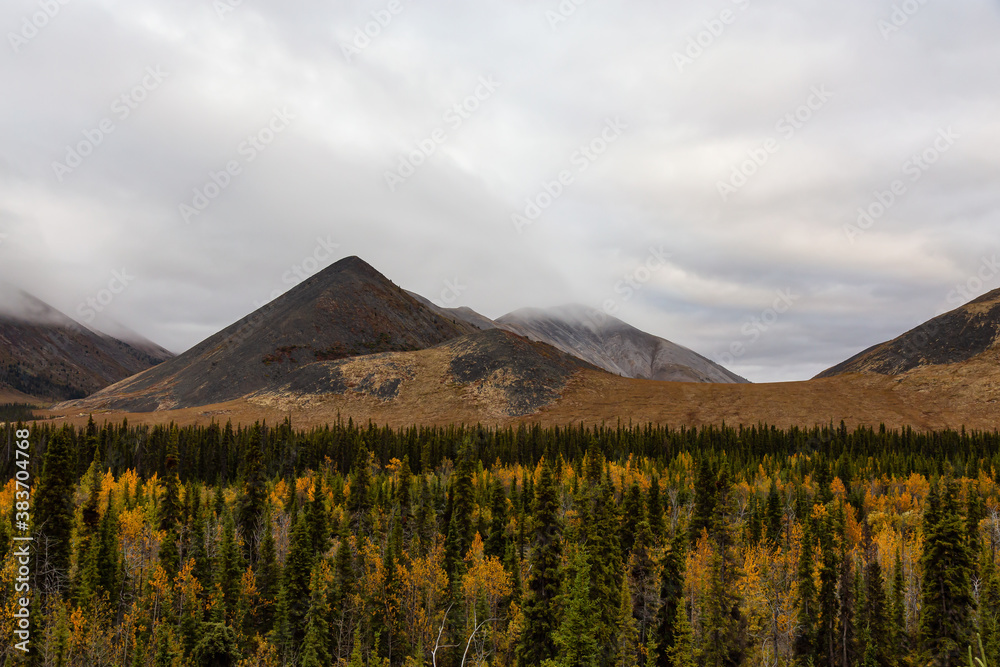 Beautiful Panoramic View of Scenic Mountains and Forest on a Cloudy Fall Day in Canadian Nature. Taken near Tombstone Territorial Park, Yukon, Canada.