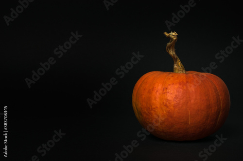Large pumpkin with a stalk on a black background.