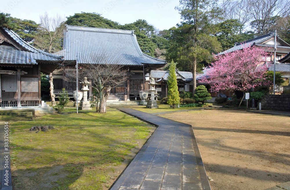 Fototapeta premium 越前三国・性海寺