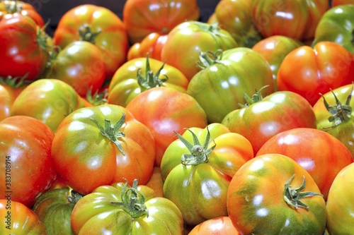 tomatoes in market raff tomato vegetable photo