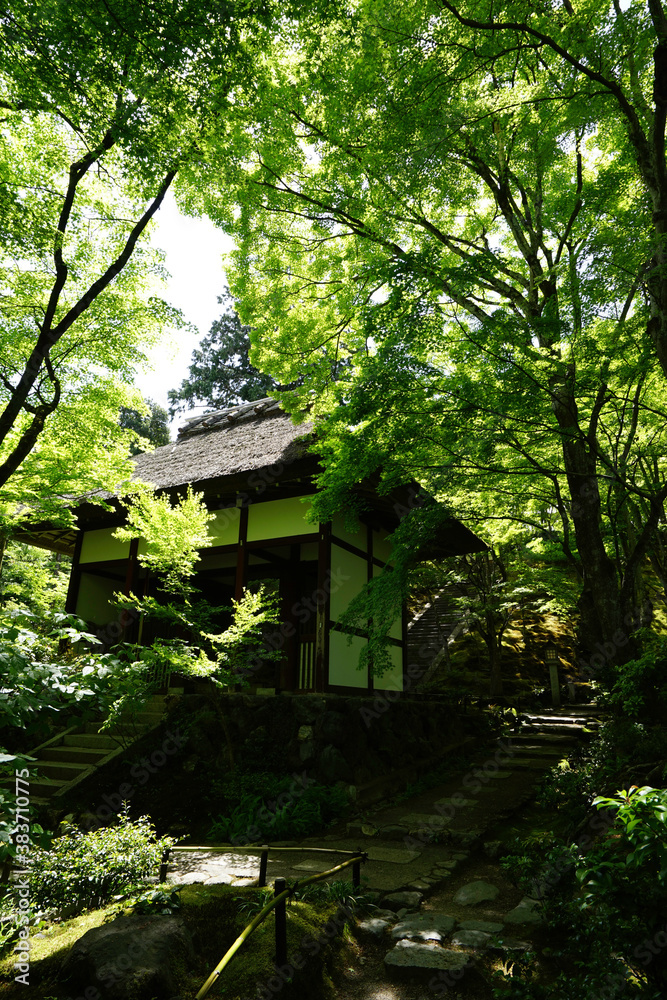 常寂光寺の新緑の風景