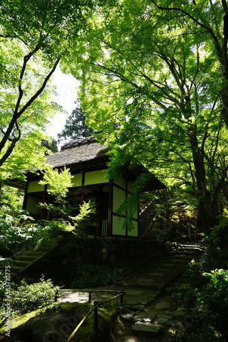 常寂光寺の新緑の風景 © ykimura65