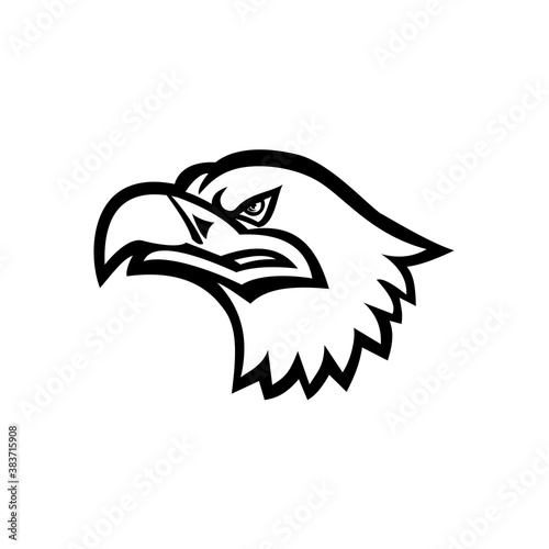 Head of a Eurasian Sea Eagle or Gray Sea Eagle Side View Mascot Black and White