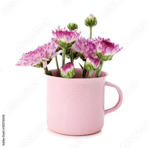 Foto Spring purple flower in small cups cute isolated on white background