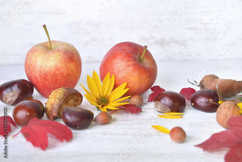 red apples, brown, yellow flowers with leaves in autumnal still life on white...