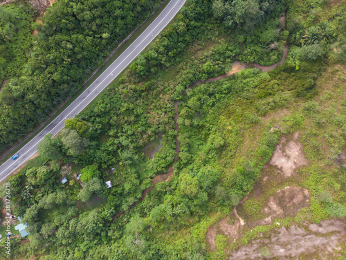 aerial view of winding road in a forest