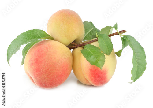 Branch with peaches isolated on a white background