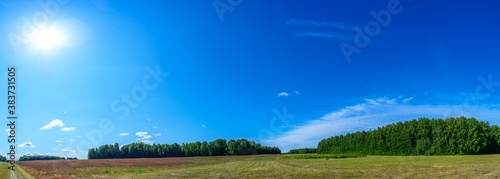 Panorama of a field covered with various flowers and herbs in the background a forest and a blue sky with feather clouds