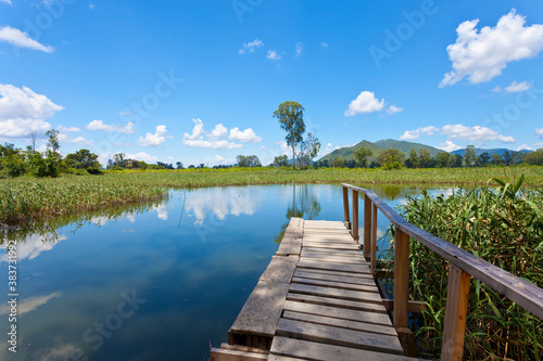 Hong Kong wetland pond photo