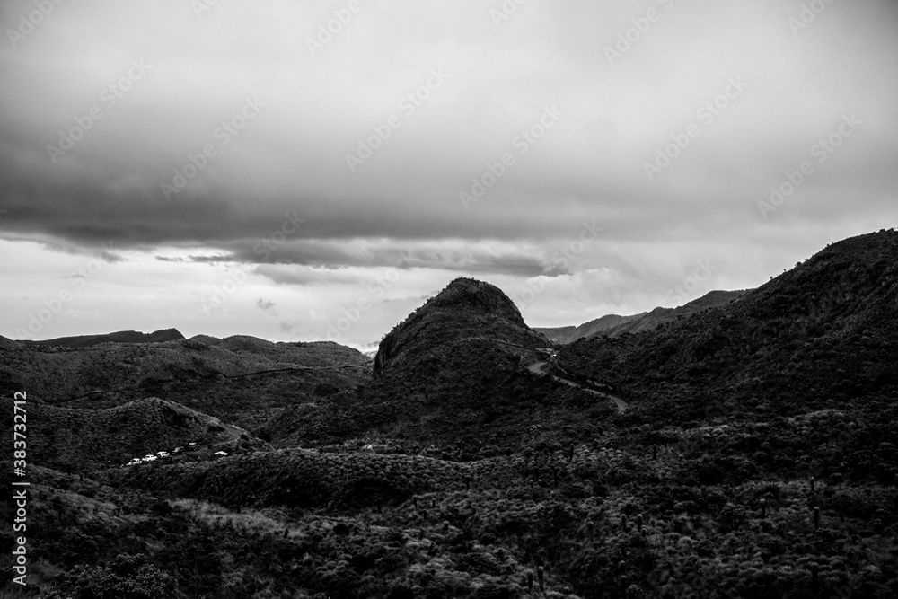 Paramo Paramo
