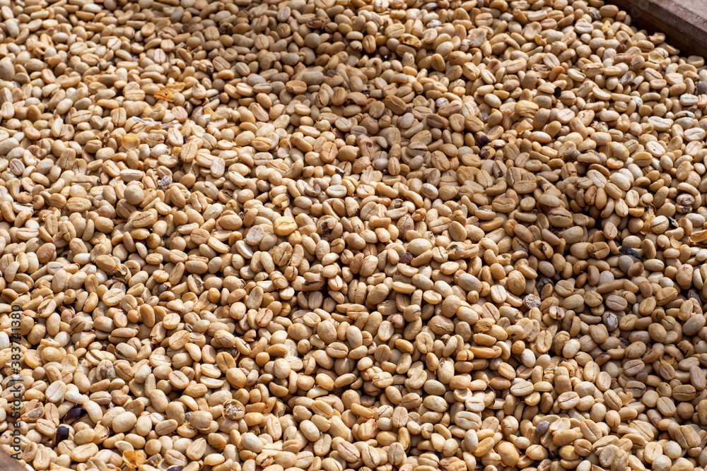 Obraz premium roasted coffee