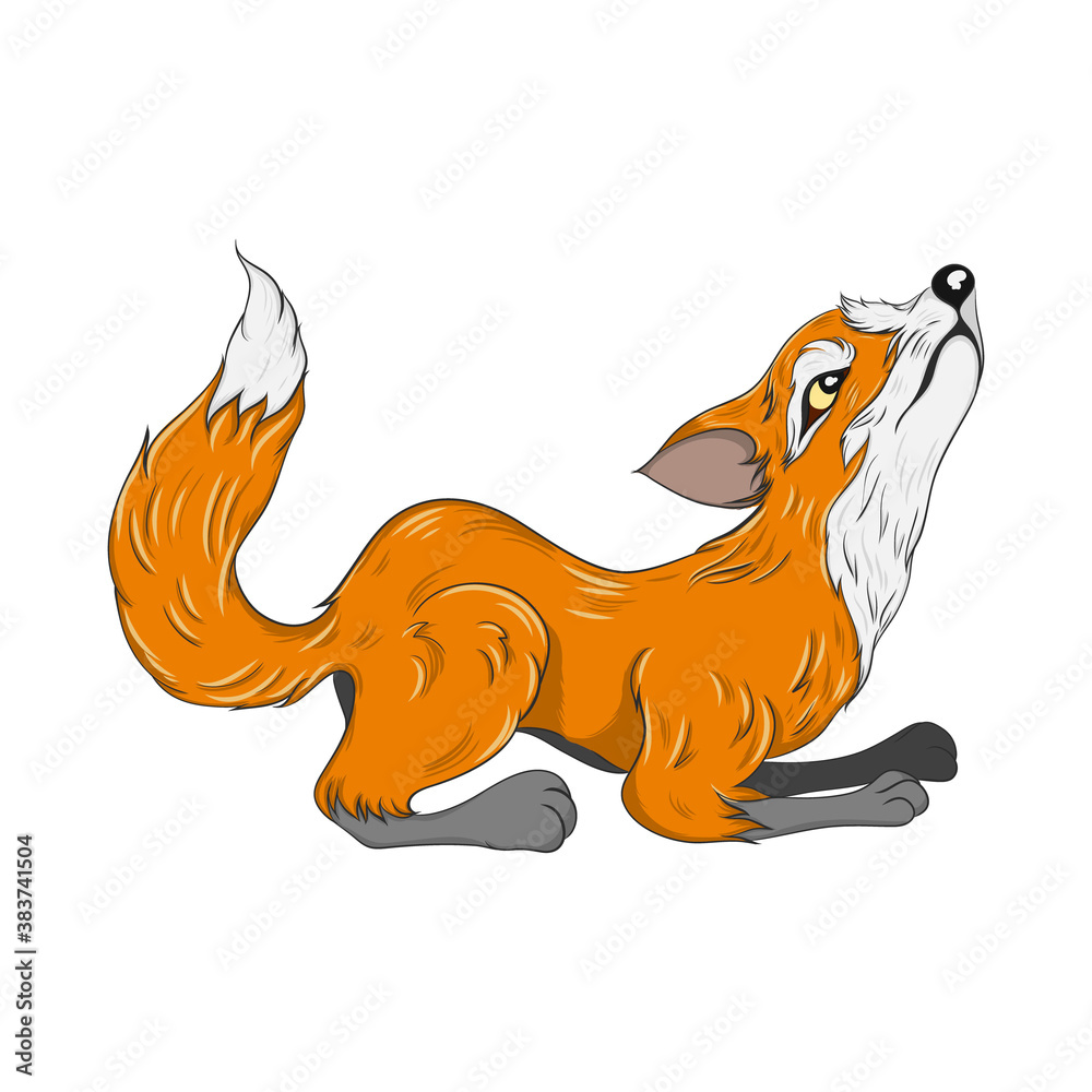Fototapeta fox