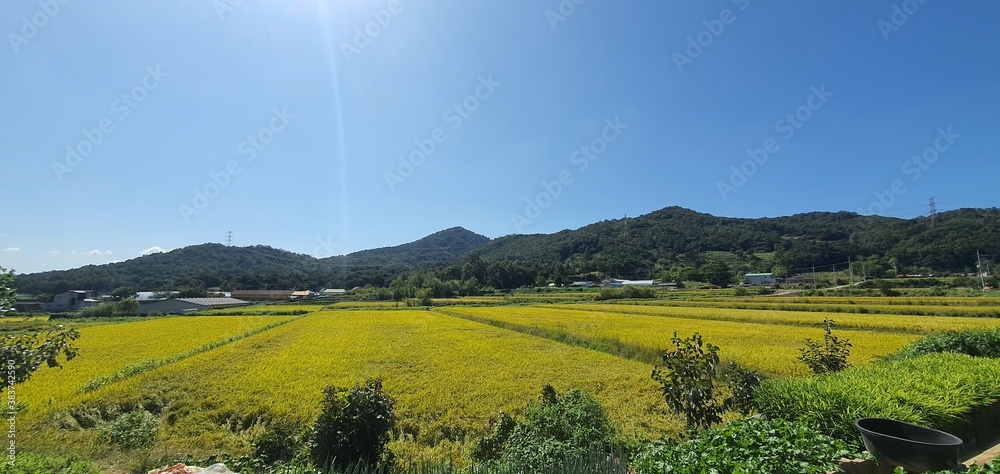 landscape with mountains