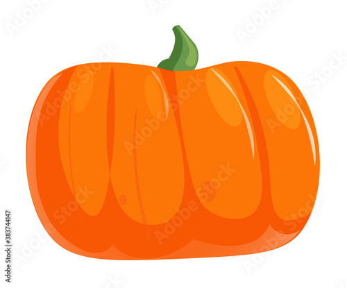 Isolated vector pumpkin logotype for autumn harvest festival illustration on white background