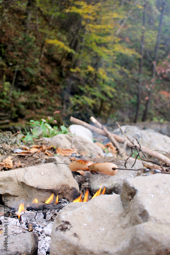 sausages on fire in the forest sausages on fire in the forest