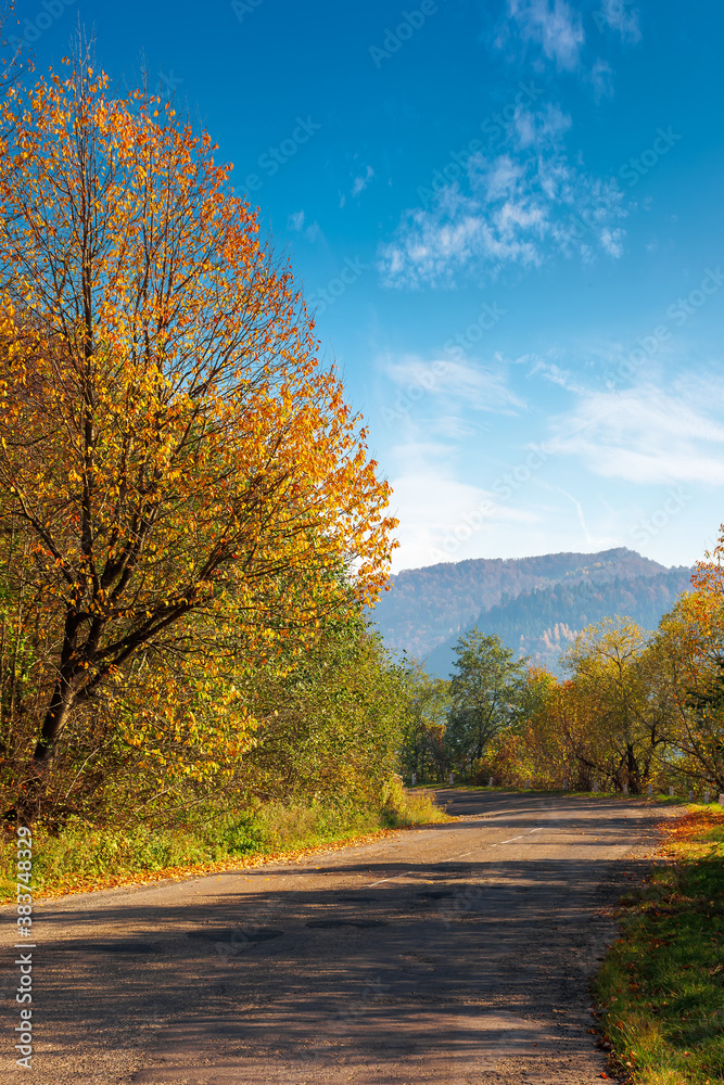 old asphalt road in mountains. beautiful autumn scenery on a sunny day. trees in colorful foliage. countryside journey on a weekend concept old asphalt road in mountains. beautiful autumn scenery on a sunny day. trees in colorful foliage. countryside journey on a weekend concept