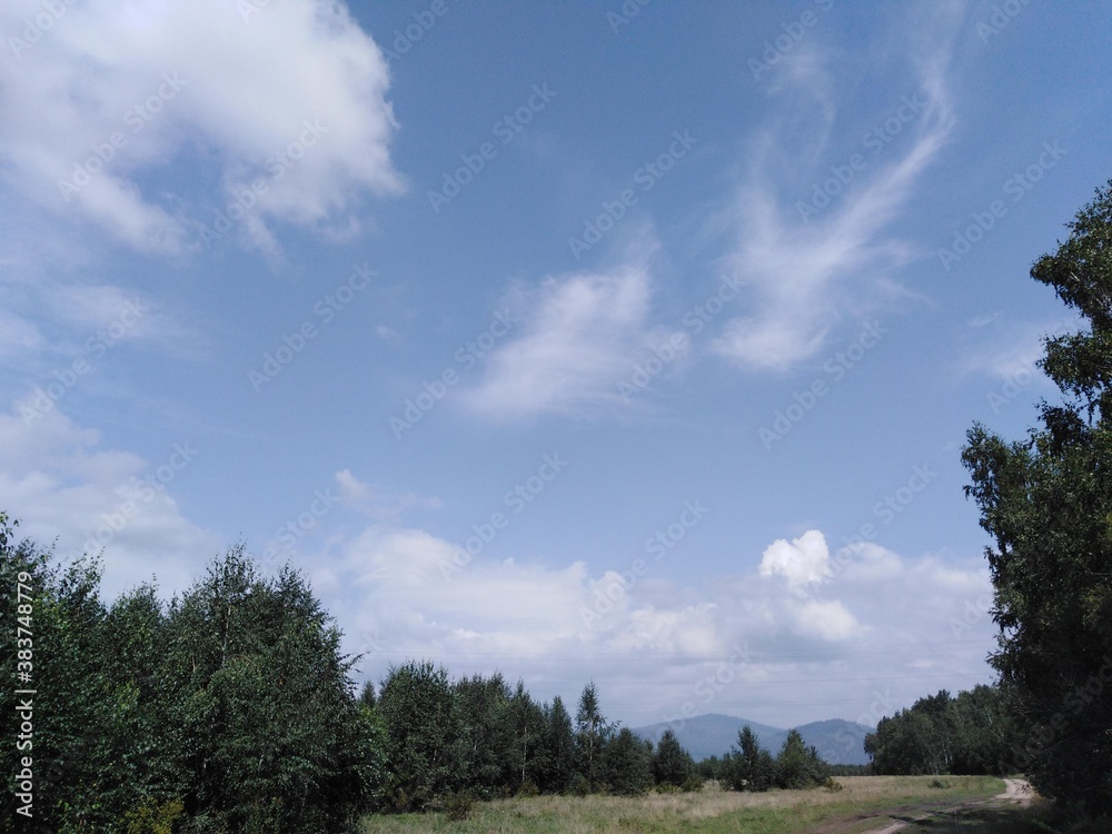 Obraz premium Sky, forest and road