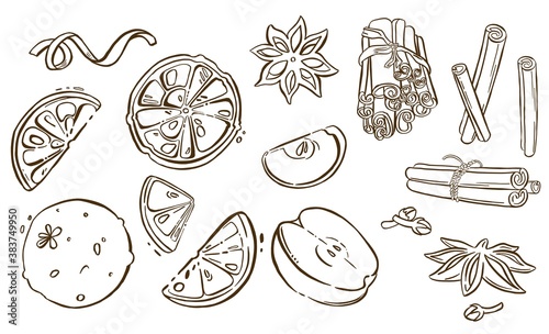 Christmas spices, star anise. Vector illustration