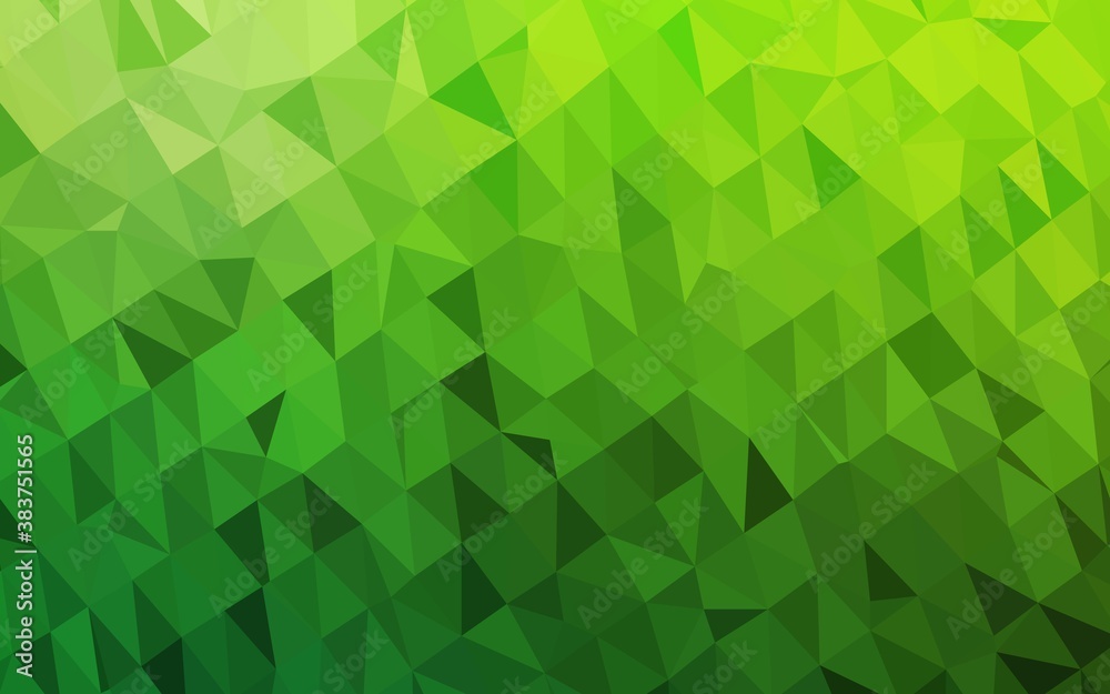 Light Green vector low poly layout. Light Green vector low poly layout.