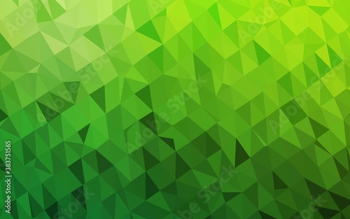 Light Green vector low poly layout.