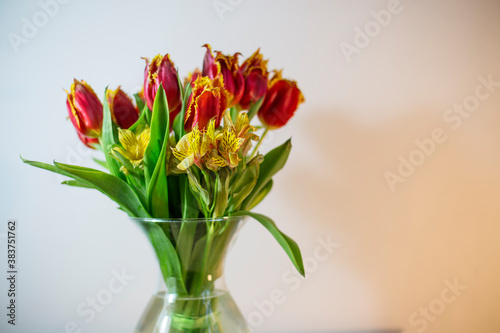 Wallpaper Mural Bouquet of red tulips in a transparent vase Torontodigital.ca