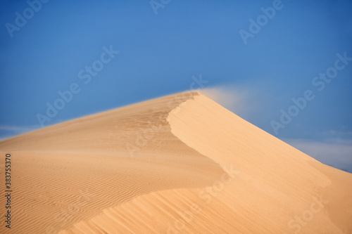 Desert of North Africa, sandy barkhans