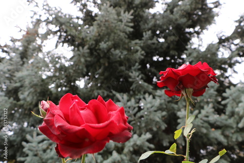 Москва в октябре