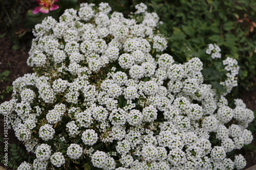 Москва в октябре