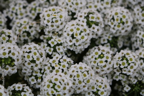 Москва в октябре