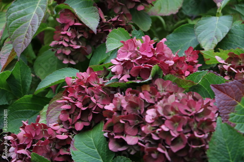 Москва в октябре