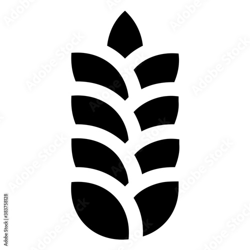 
A cultivated cereal grain used worldwide for food and making dough 
