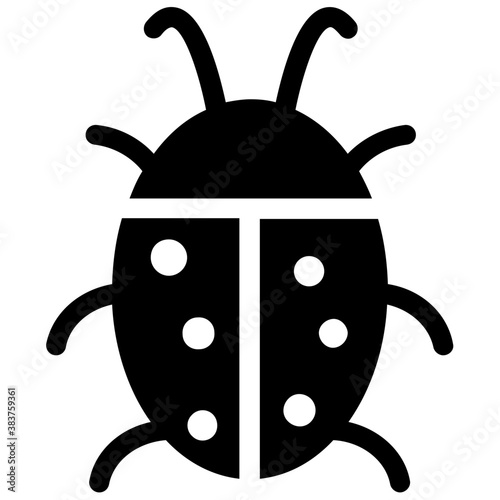 
Small beetle, ladybird solid icon 
