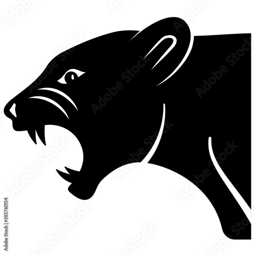 
An angry view of lion head 
