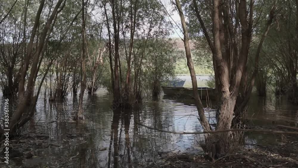 River And Old Metal Rowing Fishing Boat ancored between trees. High water. River And Old Metal Rowing Fishing Boat ancored between trees. High water.
