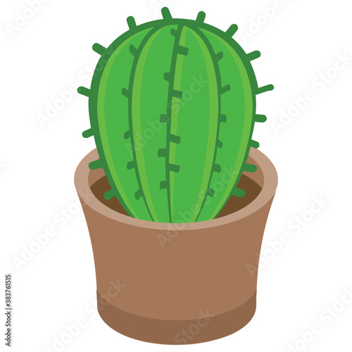 
A wild plant in a garden depicting cactus 

